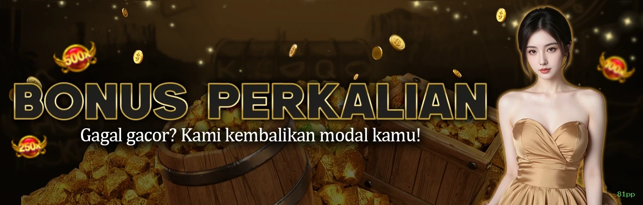 81pp